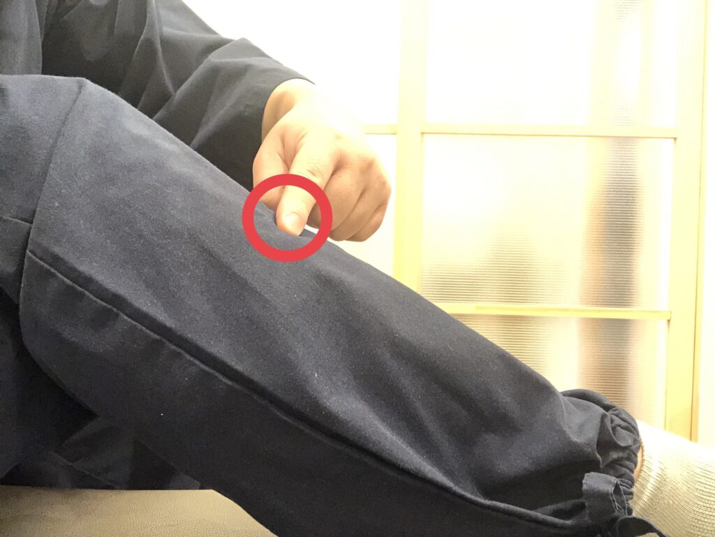 上巨虚【下痢改善のツボ】 | 泉木鍼灸整体院